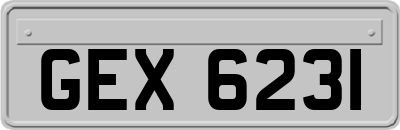 GEX6231