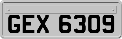 GEX6309