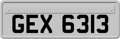 GEX6313