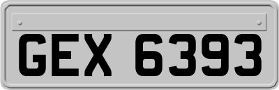 GEX6393