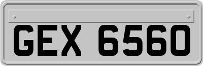 GEX6560