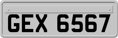 GEX6567