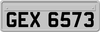 GEX6573
