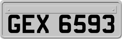 GEX6593