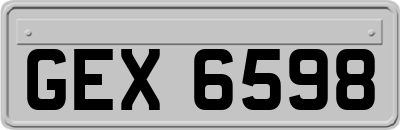 GEX6598