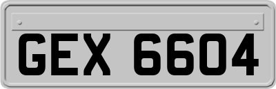 GEX6604
