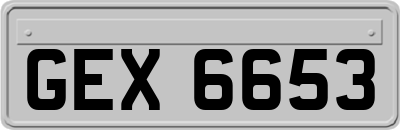 GEX6653