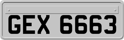 GEX6663