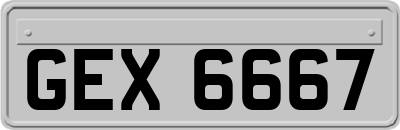 GEX6667