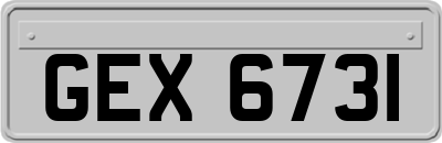 GEX6731