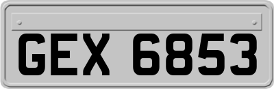 GEX6853
