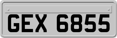 GEX6855