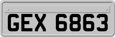 GEX6863