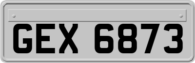 GEX6873