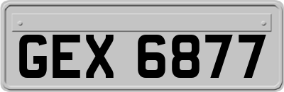 GEX6877