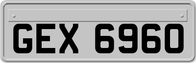 GEX6960