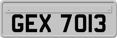 GEX7013
