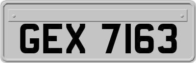 GEX7163