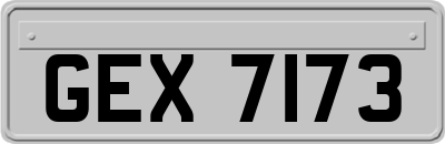 GEX7173