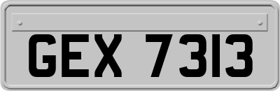 GEX7313