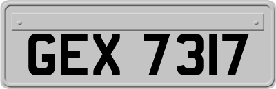 GEX7317