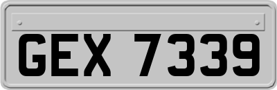 GEX7339