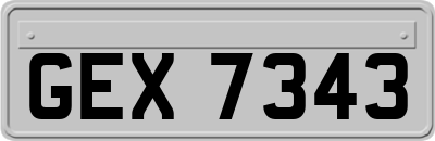 GEX7343