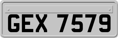 GEX7579