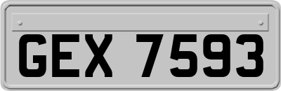 GEX7593