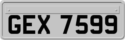 GEX7599