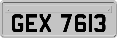 GEX7613