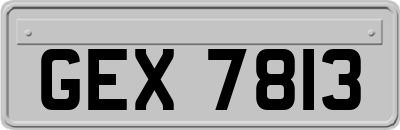 GEX7813