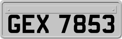 GEX7853