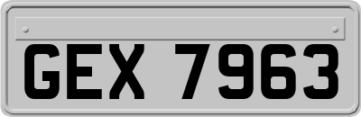 GEX7963