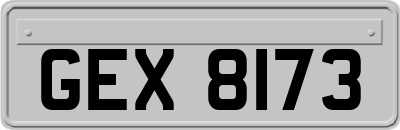 GEX8173