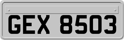 GEX8503
