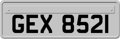 GEX8521
