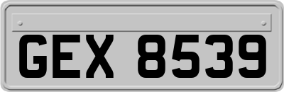 GEX8539