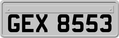 GEX8553