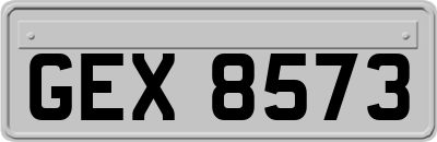 GEX8573