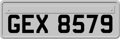 GEX8579