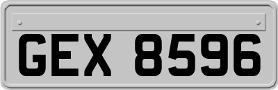 GEX8596