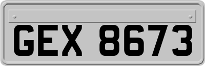 GEX8673