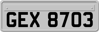 GEX8703
