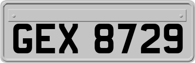 GEX8729
