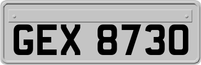 GEX8730