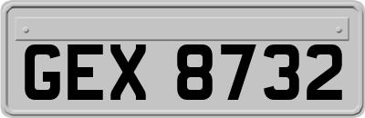 GEX8732