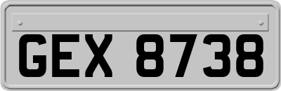 GEX8738