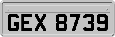 GEX8739