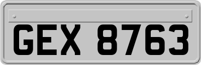 GEX8763